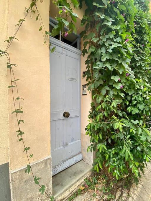 Click! Casa Lamartine Fabulous Ideal Location Walk To All!!! Cassis Exteriér fotografie